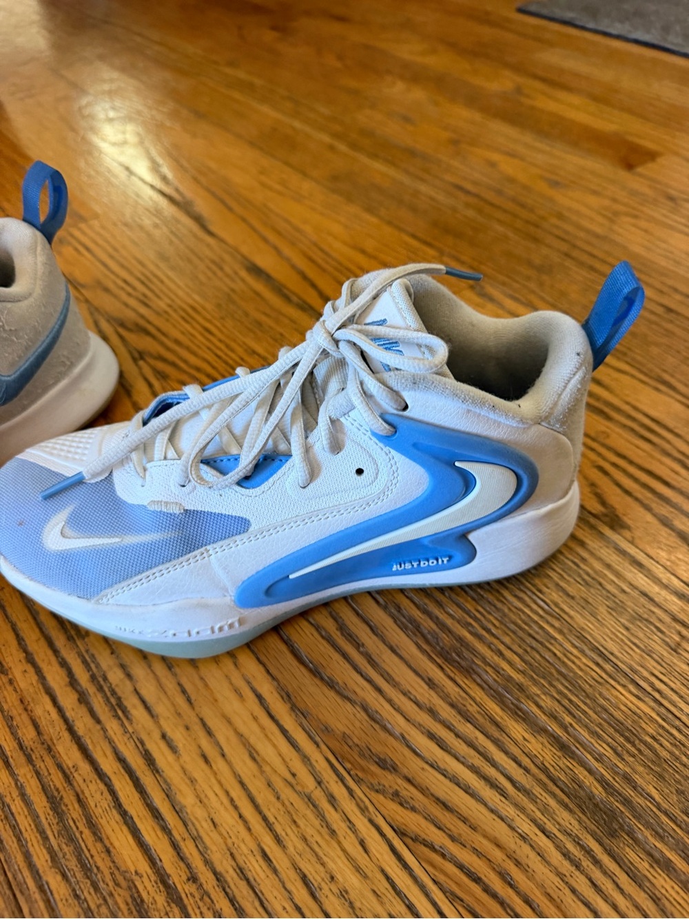Nike Zoom Hyperset 2 Volleyball shoes